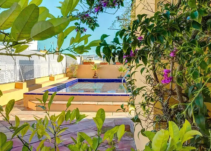 Deluxe Apartment Trajano